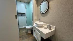 a bathroom with a sink and a toilet and a mirror at Loft novíssimo com banheira imersão aquecida a 5min da Vila Germânica in Blumenau +12 photos