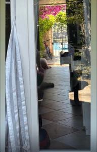Patio nebo venkovní prostory v ubytování Holiday home with private garden 1200 m2