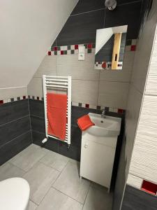 a small bathroom with a toilet and a sink at Apartmány pod Jizerkami in Weissbach
