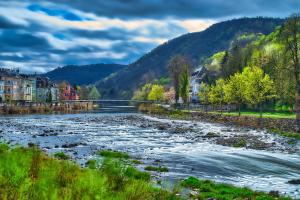 un río en una ciudad con casas y árboles en Charmante Wohnung in denkmalgeschützter Villa, en Bad Kreuznach