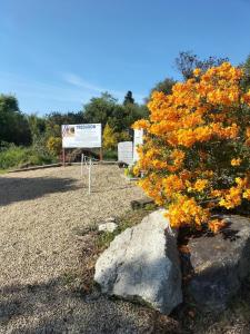 a tree with orange leaves next to a sign at "La Maison de Poupée" Gîte cosy Monts d'Arrée proche Huelgoat Bretagne in Berrien