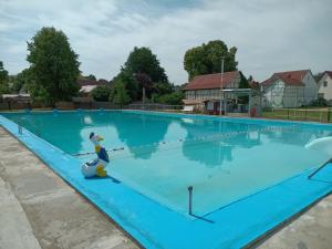 a swimming pool with a toy duck in the water at Ferienhaus Winfried in Weberstedt