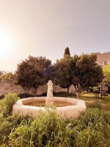 a fountain in a garden with trees in the background at Ferienhaus, Villa in der Altstadt mit grossem Zitrusgarten in Carovigno