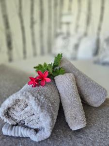 Riebeek-WesにあるThe tiny homeのギャラリーの写真