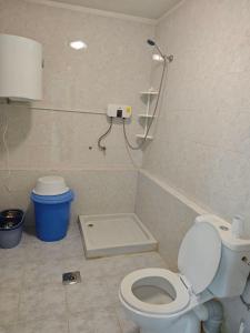 a bathroom with a toilet and a shower at Forest Garden Karbi in Karbi +14 photos