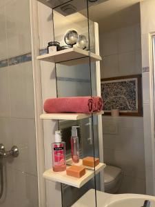 a bathroom with a shelf with towels and a sink at Pretty little modern studio in Villeron