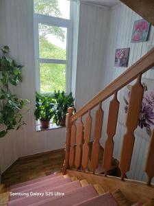 Fotografie z fotogalerie ubytování Apartments Žegarac House v destinaci Korenica