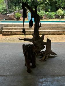 Haiwan peliharaan atau haiwan-haiwan peliharaan yang menginap dengan tetamu di Elephant Arcade