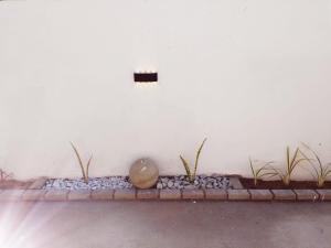a stone vase sitting next to a wall with plants at HMT Exquisite Spaces in Polokwane