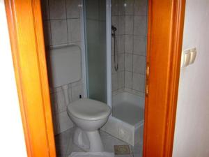 a small bathroom with a toilet and a shower at Villa Nada - STUDIO 11 in Duće