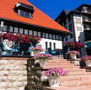 a group of potted flowers on the stairs of a building at Chilltorium Zlatibor in Zlatibor