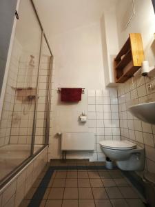a bathroom with a toilet and a shower and a sink at Herrenhaus Libnow in Murchin +24 photos