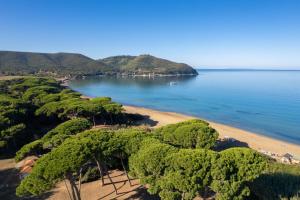 an aerial view of a beach with trees at La Torretta in Piombino