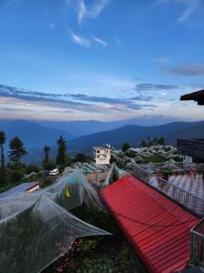 a view of a garden with plants in plastic nets at Sneh by Daisey in Cheog +8 photos
