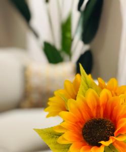 Un primer plano de un girasol amarillo junto a una planta. en La Bella Modena Giardini Appartamenti, en Módena