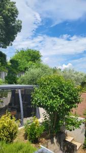 a view of a garden with a tree at les chambres de Mélis in Crémieu