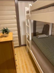 a bunk bed in a tiny room with a plant at Skogshytte in Holmøyane +30 photos