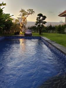 une piscine avec de l'eau bleue dans une cour arrière dans l'établissement Kayla Homestay, à Nusa Dua 30 autres photos