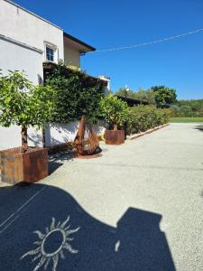 Gallery image of DGD house in Carrara +69 photos