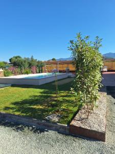 Gallery image of DGD house in Carrara