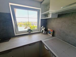 Η κουζίνα ή μικρή κουζίνα στο TABÁN Apartman +28 φωτογραφίες