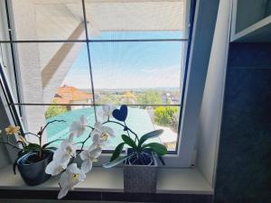 Κήπος έξω από το TABÁN Apartman
