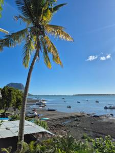 a palm tree on a beach with boats in the water at Honey studio in Rivière Noire
