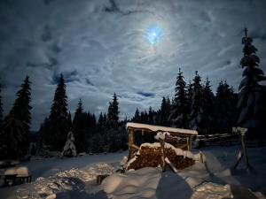 ein schneebedeckter Wald mit einem Himmel mit dem Mond in der Unterkunft Poiana cu Sinziene in Neagra Şarului