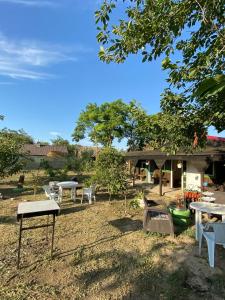 a group of tables and chairs in a yard at La Valentina si Gabriel in Vadu