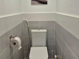 a bathroom with a toilet and a roll of toilet paper at Lake Villa Castéra-Verduzan in Castéra-Verduzan +6 photos
