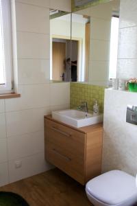 コパリノにあるDomek Kopalinoのバスルーム(洗面台、トイレ、鏡付)
