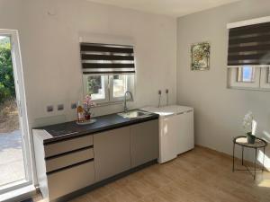 a kitchen with a sink and a counter top at Apartmani Suzanna, apartman a in Eraci