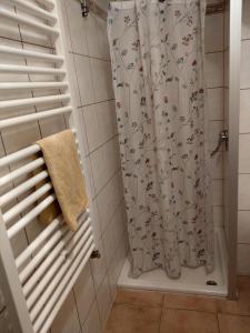 a shower with a shower curtain in a bathroom at Ferienwohnung Schlesinger in Hohnstein +15 photos