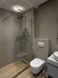 ein Badezimmer mit Dusche, Toilette und Waschbecken in der Unterkunft Hotel Bristol Velipoje in Velipojë