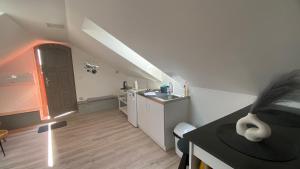 Kuchyňa alebo kuchynka v ubytovaní Borostyán Apartmanház