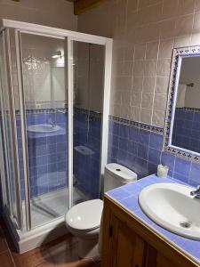 a bathroom with a shower and a toilet and a sink at El huerto de Lino in Candeleda