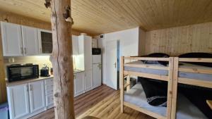 a room with two bunk beds in a cabin at Chata Veverka in Doksy +21 photos