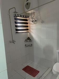 a bathroom with a shower and a toilet at Swazshortlet in Gwarinpa