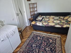 a living room with a bed and a rug at Tulcea Soft Apartment in Tulcea