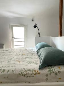 a white bedroom with a bed with a green pillow at Maison cœur de ville in Pertuis +13 photos
