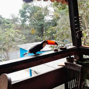 Gallery image of Casa e camping Julia recanto das árvores in Itamonte