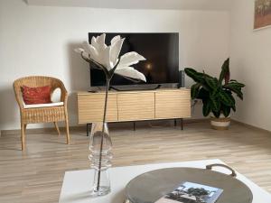 a vase with a white flower in front of a tv at Moderne Ferienwohnung in Bad Salzuflen - Zentrale Lage & Wohlfühlkomfort in Bad Salzuflen