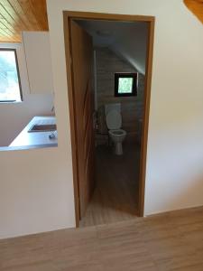 un bagno con un water in una stanza di Ivan's House Cornereva a Cornereva