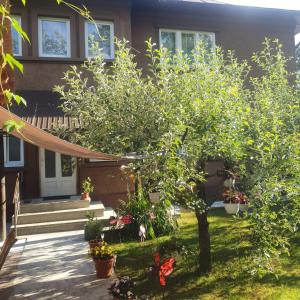 una casa con una hamaca en el patio en Casa M, en Câmpulung Moldovenesc