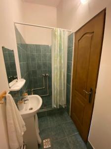 a bathroom with a sink and a toilet and a shower at La Valentina si Gabriel in Vadu