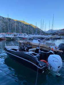 a group of boats are docked in the water at Boka Boat Tours in Kotor