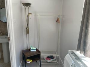 a bathroom with a shower with a table and a lamp at The Meadow Garden Guest Room in Newmarket +2 photos