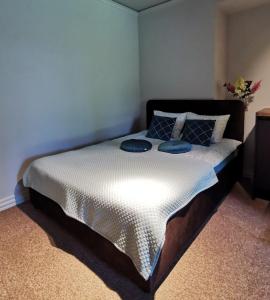 a bedroom with a bed with two blue pillows at Apartments R9 in Riga