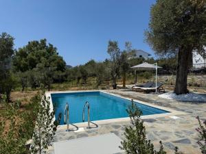 a swimming pool in the middle of a yard at Villa Afroditi, Skiathos, Kalivia, Greece in Skiathos National Airport