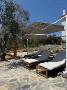 a group of lounge chairs and an umbrella at Villa Afroditi, Skiathos, Kalivia, Greece in Skiathos National Airport